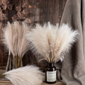 Herbe de Pampa Artificielle – Bouquet Bohème Décoratif (10 tiges)