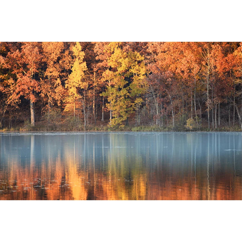 Affiches Décoratives d’Automne – Paysages, Citrouilles & Feuilles Dorées