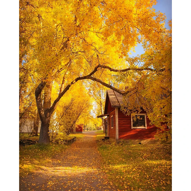 Affiches Décoratives d’Automne – Paysages, Citrouilles & Feuilles Dorées