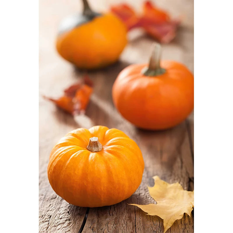 Affiches Décoratives d’Automne – Paysages, Citrouilles & Feuilles Dorées