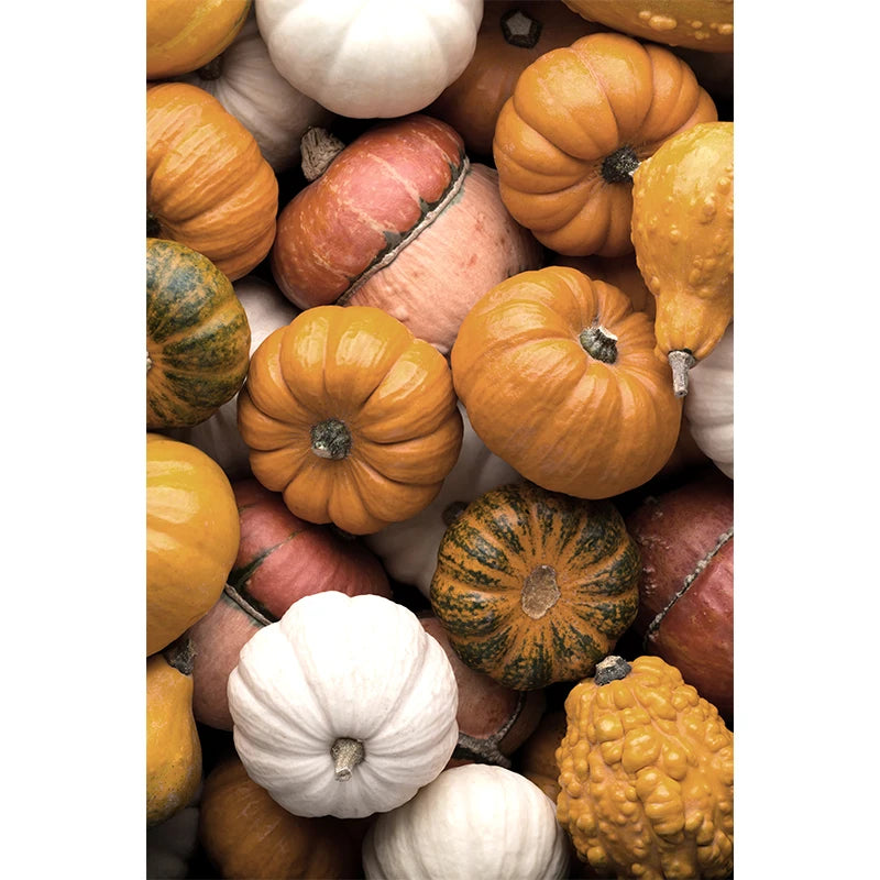 Affiches Décoratives d’Automne – Paysages, Citrouilles & Feuilles Dorées