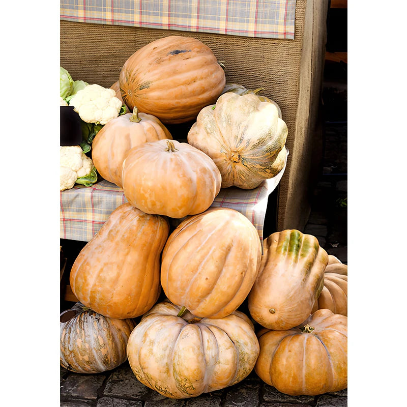 Affiches Décoratives d’Automne – Paysages, Citrouilles & Feuilles Dorées