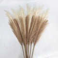 Herbe de la Pampa Artificielle de Luxe – Bouquet Décoratif Bohème 97 cm