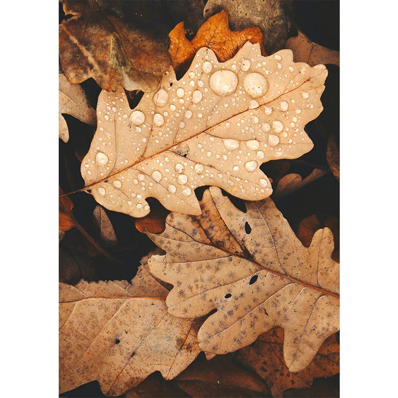 Affiches Décoratives d’Automne – Paysages, Citrouilles & Feuilles Dorées