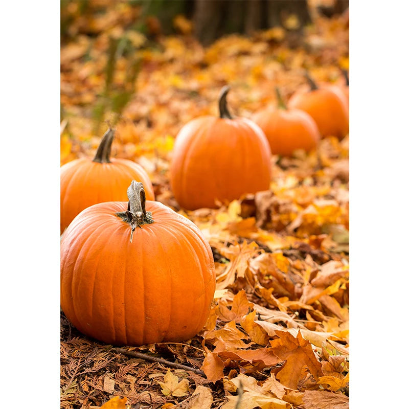 Affiches Décoratives d’Automne – Paysages, Citrouilles & Feuilles Dorées