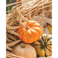 Affiches Décoratives d’Automne – Paysages, Citrouilles & Feuilles Dorées